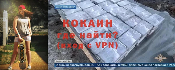 стаф Бердск