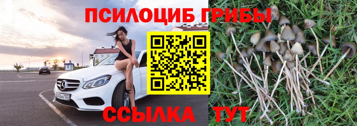 Галлюциногенные грибы мицелий  Вход с VPN  Ахтубинск 
