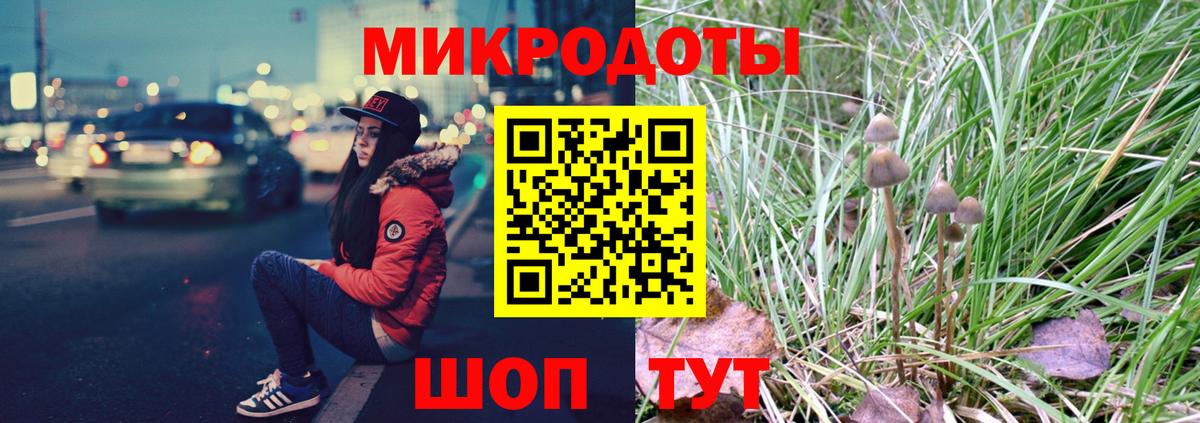 Псилоцибиновые грибы Psilocybine cubensis Ахтубинск