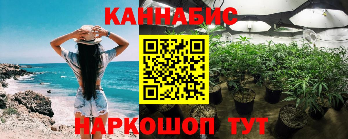 Каннабис планчик  Вход с VPN  Ахтубинск  Конопля конопля  Канабис White Widow  Бошки марихуана VHQ 